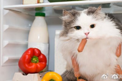 電冰箱省電良方，走過路過別錯過??！