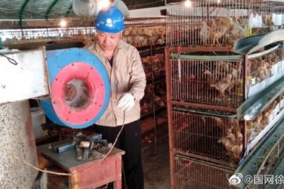 張莊供電所運維人員快速搶修故障