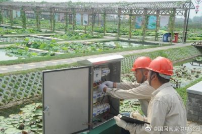 國網(wǎng)南京市江北新區(qū)供電公司安裝變壓器、環(huán)網(wǎng)柜、配電箱等配電設(shè)備