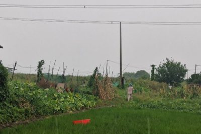 遭遇龍卷風(fēng)突襲10千伏清東線發(fā)生倒桿、斷線事故