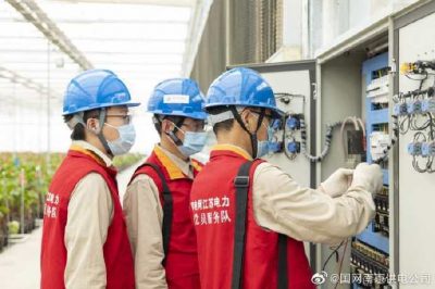 為大棚電力線路、電氣化設(shè)備進(jìn)行縝密排查和整改消缺