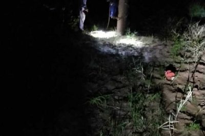 雨夜出動(dòng) 守護(hù)群眾用電