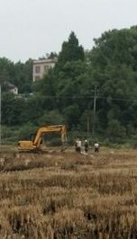 大路坪供電所農(nóng)改施工隊在新建蕉林村東洋灣臺區(qū)進(jìn)行立桿作業(yè)