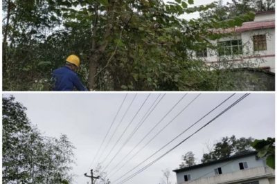 對10千伏禾臘線消水坨臺區(qū)、石家寨臺區(qū)進行巡視