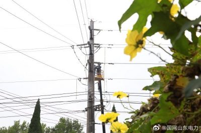 高空作業(yè) 保障電網(wǎng)穩(wěn)定運行