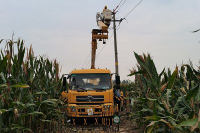帶電拆除旁路電纜 保障秋收用電無(wú)憂