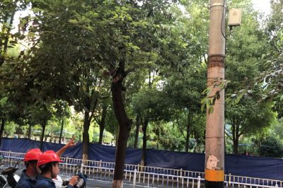 對(duì)城區(qū)114市區(qū)1線進(jìn)行帶電檢測(cè)工作