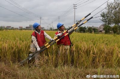 到10千伏五港鎮(zhèn)114支線45號(hào)桿緊固拉線螺栓