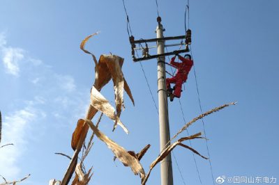 對10千伏春興線海防支線進(jìn)行清掃、檢修