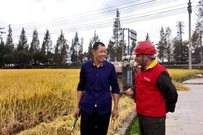 對涉農(nóng)電氣設(shè)備、線路進行特維特巡