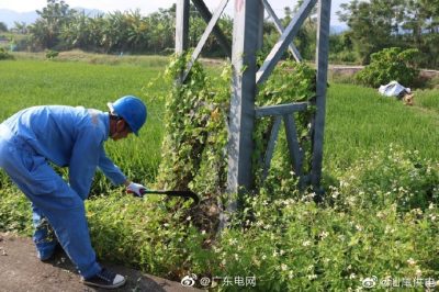 清除纏繞藤蔓，為桿塔“理發(fā)”