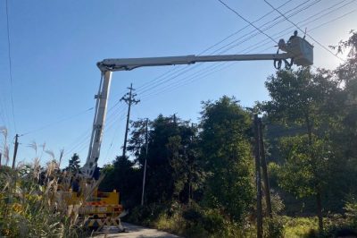 在10千伏官坪線46-49號(hào)桿附近進(jìn)行帶電砍青