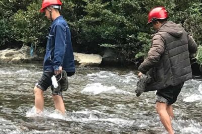 110千伏中沈線進(jìn)行樹竹隱患排查巡視