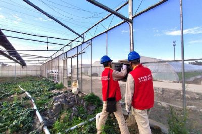 迎峰度冬早準(zhǔn)備??“黨員服務(wù)隊”走進(jìn)大棚種植戶