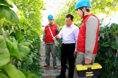 農村配網改造推動農業(yè)轉型升級