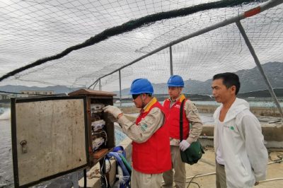 對寶應(yīng)湖農(nóng)場一大隊2號綜合變共54戶表計進行更換，