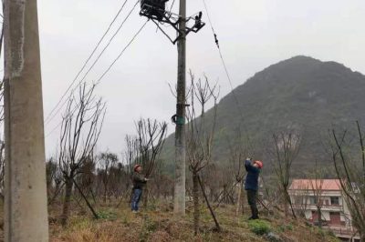農(nóng)電檢修人員對小石線、高石線等10千伏線路進(jìn)行集中巡視測溫