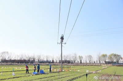 對10千伏青木線開展線路改造升級工作