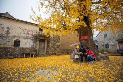 政企網(wǎng)格化共建 擦亮鄉(xiāng)村新底色