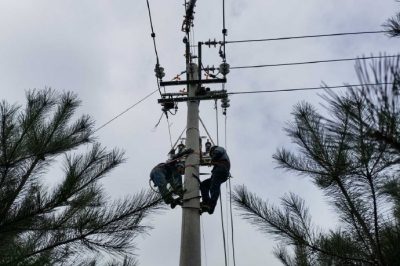 134南路線消缺工作正在如火如荼的展開 134南路線消缺工作正在如火如荼的展開