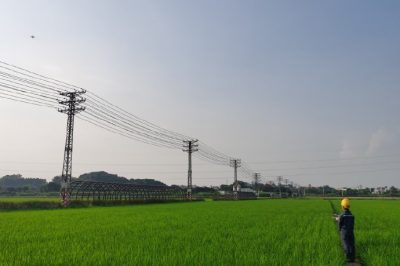 東莞東城周屋水稻示范區(qū) 開展配網(wǎng)線路精細(xì)化巡檢