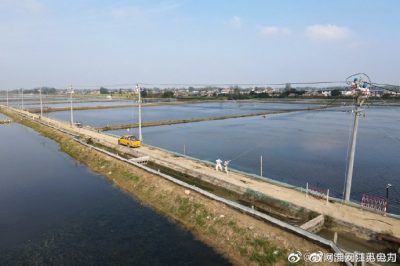 漣水縣金綠園水產(chǎn)養(yǎng)殖場(chǎng)架設(shè)10千伏線路 漣水縣金綠園水產(chǎn)養(yǎng)殖場(chǎng)架設(shè)10千伏線路