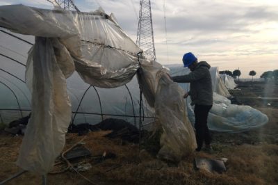 直流500千伏龍政線(xiàn)開(kāi)展防異物特巡