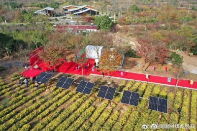 江蘇首個“茶光互補”源荷儲光協(xié)同自治臺區(qū)竣工典禮 江蘇首個“茶光互補”源荷儲光協(xié)同自治臺區(qū)竣工典禮